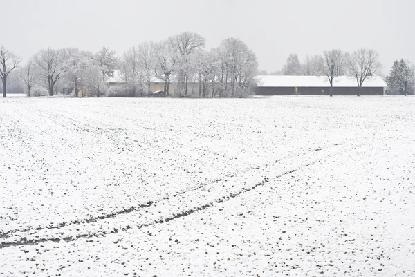 Zimní zemědělství — Stock fotografie