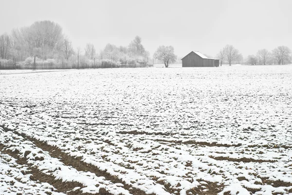 Agricultura de inverno — Fotografia de Stock