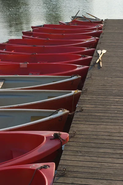 stock image Row Boats on a Lake