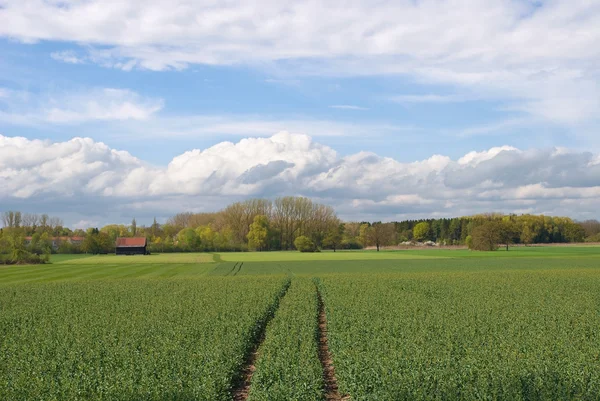 Весеннее сельское хозяйство в Германии — стоковое фото