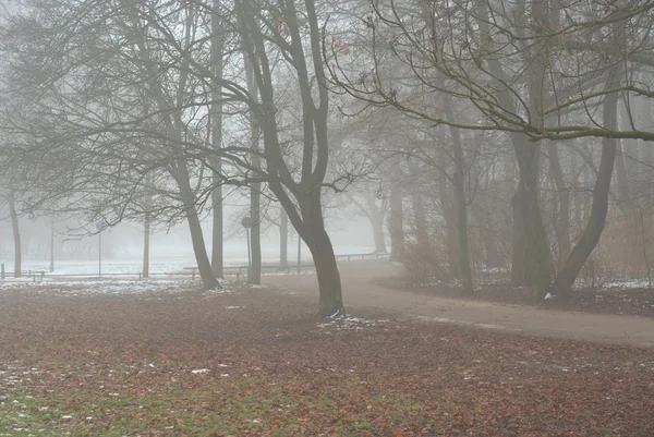 Foggy Lane em um dia de inverno cedo — Fotografia de Stock