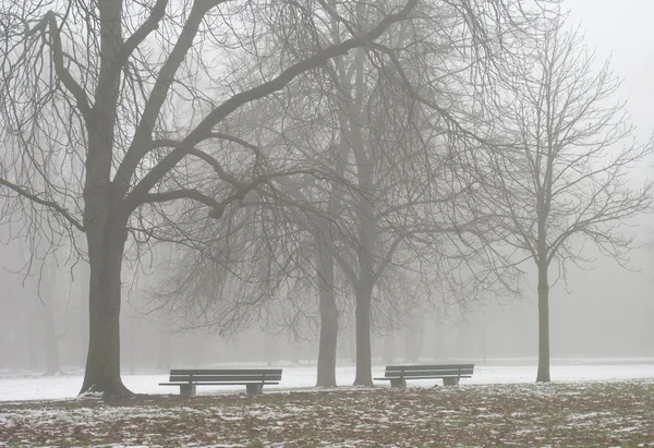 Dos asientos a lo largo de un camino de niebla — Foto de Stock