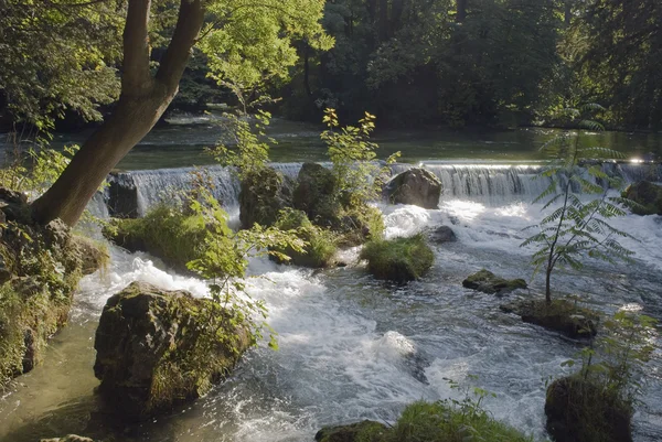 stock image Stream and Watefall