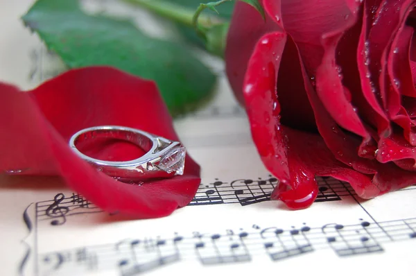 Rosa vermelha e suas pétalas, anel na folha de música — Fotografia de Stock
