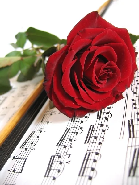 Κόκκινο τριαντάφυλλο σε φύλλο μουσική — Φωτογραφία Αρχείου