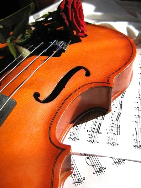 Violin on music sheet and red rose — Stock Photo, Image