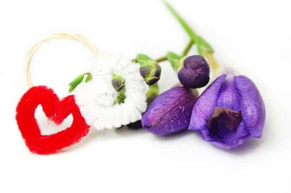 Çiçek, Bahar ve aşk sembolü ile iki kalp — Stok fotoğraf