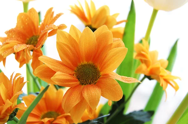 Bund orangefarbener Chrysanthemen — Stockfoto