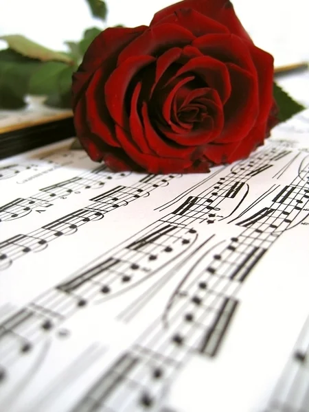 音乐工作表上的红玫瑰 — 图库照片