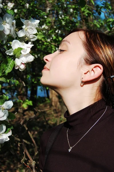 Mulher bonita entre árvore de cereja florescente — Fotografia de Stock