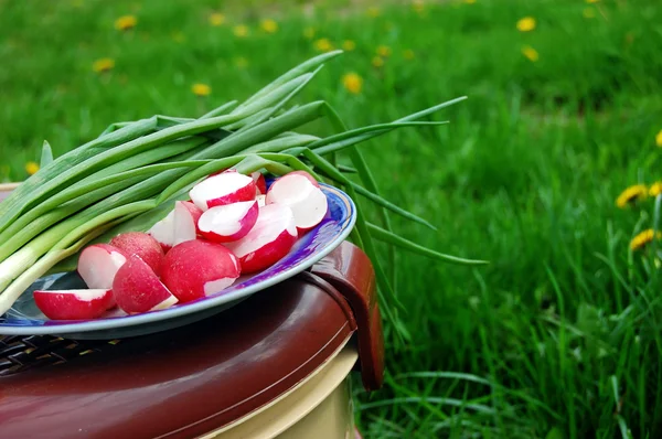 Красноватый и зеленый лук, корзина для еды на природе — стоковое фото