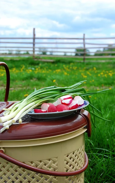 Cebola avermelhada e verde, cesta de comida na natureza — Fotografia de Stock