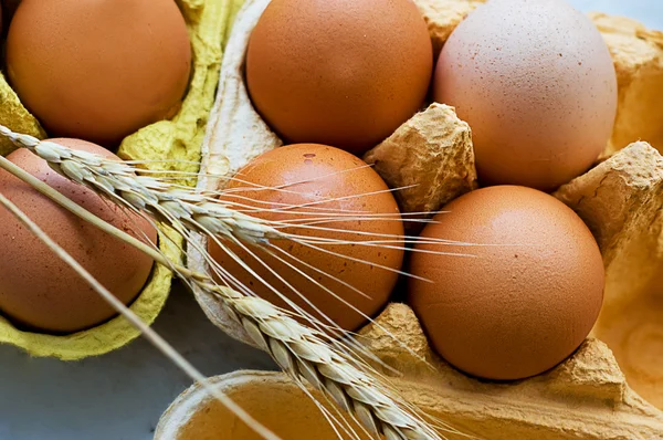 Ovos e trigo — Fotografia de Stock
