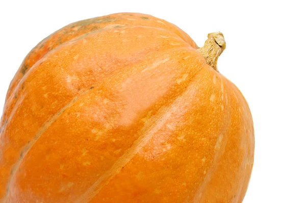 Part of orange pumpkin — 스톡 사진