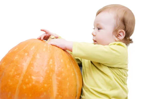 Curious baby boy playing with pumpkin — Stock Photo, Image
