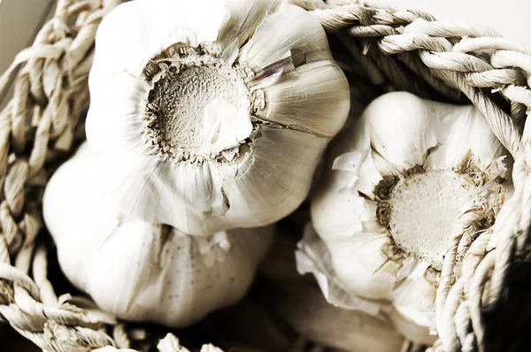 Some white garlic bulbs — Stock Photo, Image
