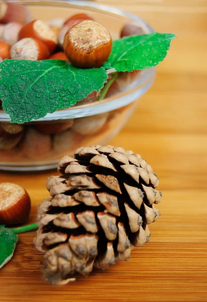 Hazelnuts and cone — Stock Photo, Image
