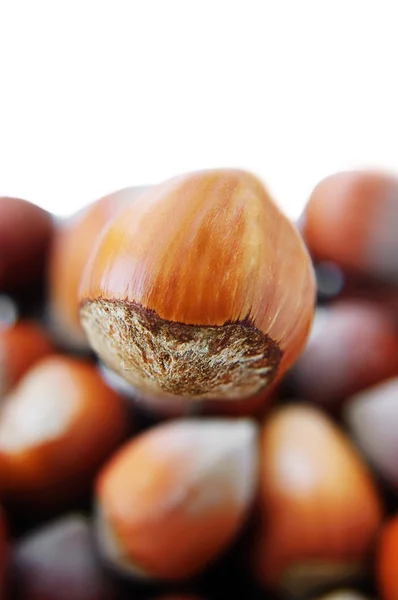 One big hazelnut in front — Stock Photo, Image