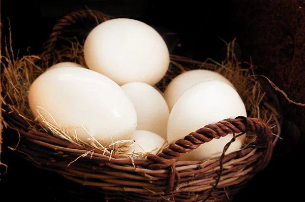 Some ostrich eggs in basket — Stock Photo, Image