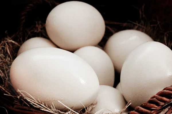 Страусиные яйца в корзине — стоковое фото