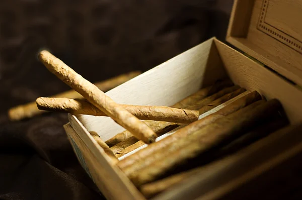 Zigarren in Schachtel — Stockfoto