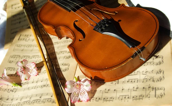 Violino na folha de música — Fotografia de Stock