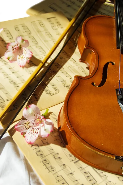 Geige auf Notenblatt — Stockfoto