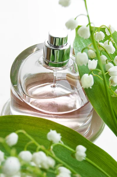 谷の liliy の香り — ストック写真