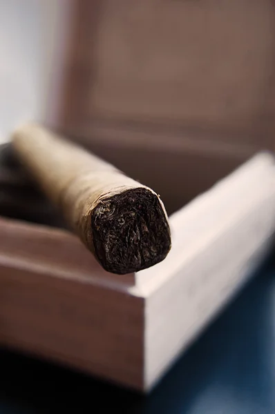 Bir kutu puro — Stok fotoğraf