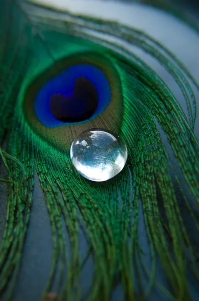 Pluma de pavo real con piedra de vidrio —  Fotos de Stock