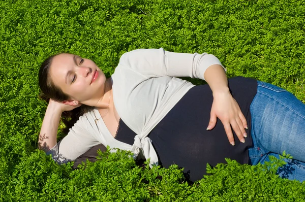 Leżące w trawie — Zdjęcie stockowe