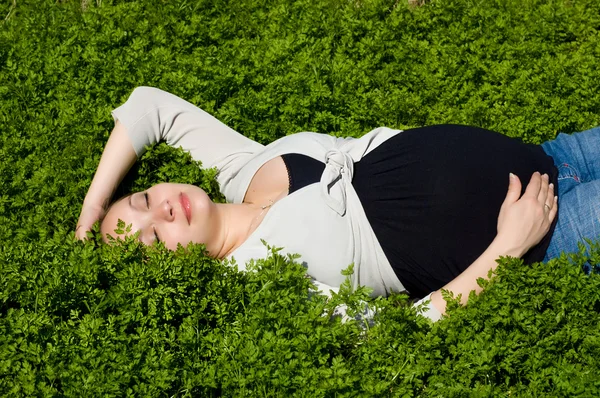 Лежа в зеленой траве — стоковое фото