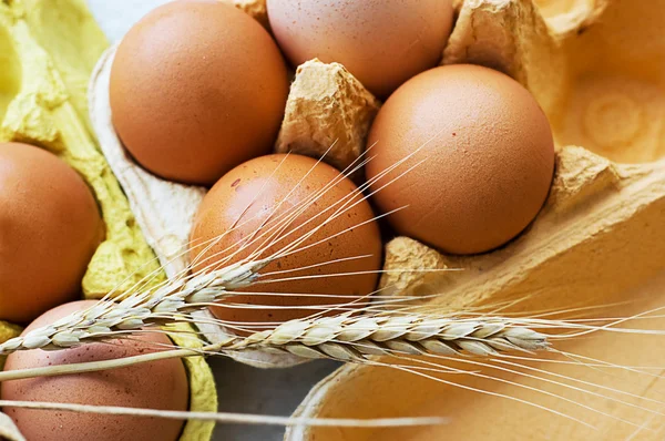 Eggs and wheat — Stock Photo, Image