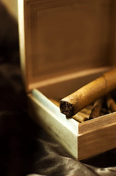 Big cigar — Stock Photo, Image
