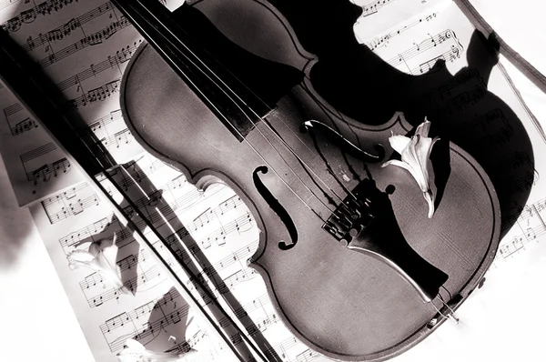 Βιολί και feedle σε φύλλο μουσική — Φωτογραφία Αρχείου