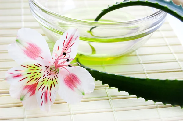Folha e óleo de Aloe vera — Fotografia de Stock