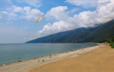 Paradise place. Abkhazia (Georgia) clipart