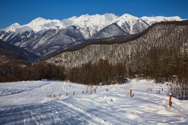 Red glade, Sochi, Krasnaya polyana clipart