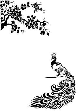 Peacock clipart