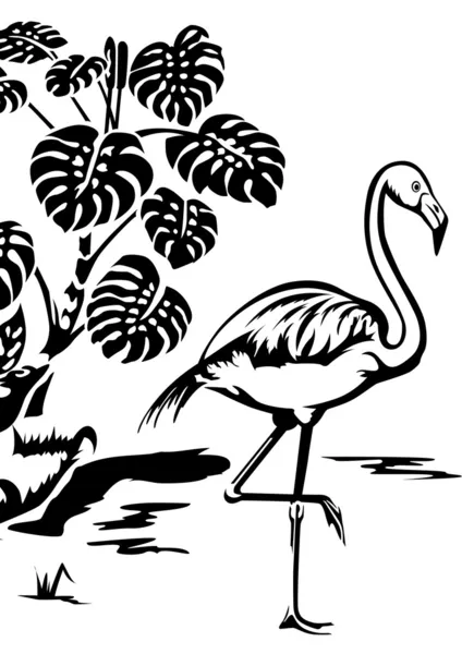 Flamingo — Stok Vektör