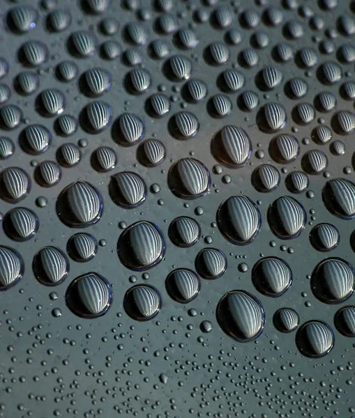 Grey water drops — Stock Photo, Image