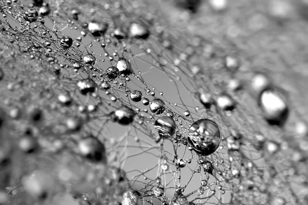 Silver drops — Stock Photo, Image