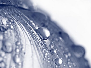 Water drops clipart