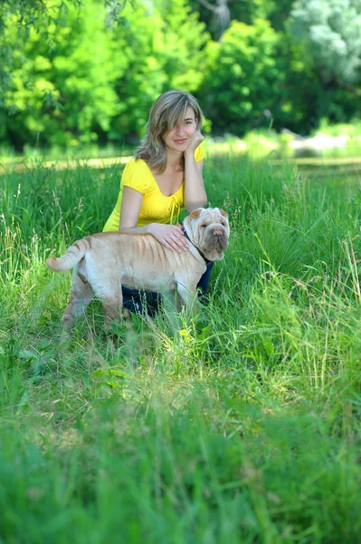 stock image Beautiful girl with Sharpey