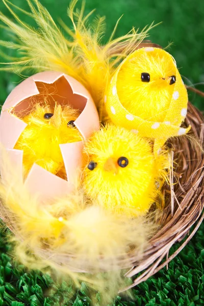 Velikonoční kuřata — Stock fotografie