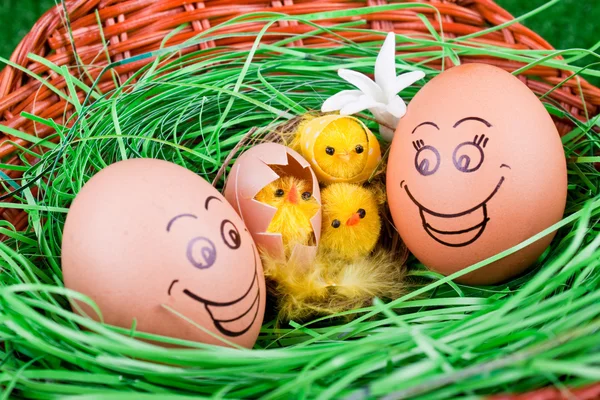 Smiling eggs and chickens in nest — Stock Photo, Image