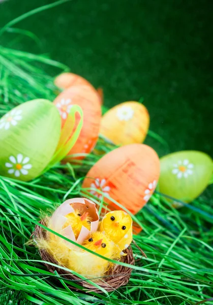 Wielkanocny kurczak i kolorowe jaja — Zdjęcie stockowe