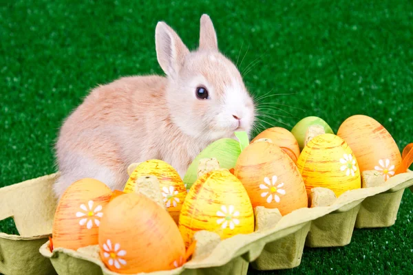 Easter eggs and sweet rabbit — Stock Photo, Image