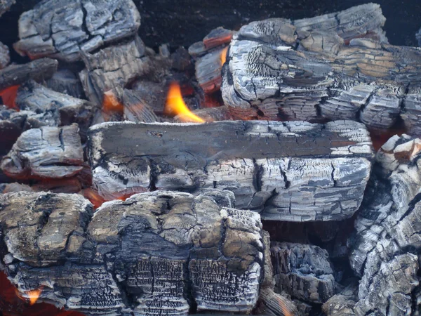 火在烧木炭 — 图库照片#