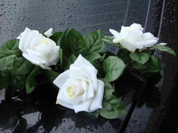 Roses blanches sur fond noir — Photo